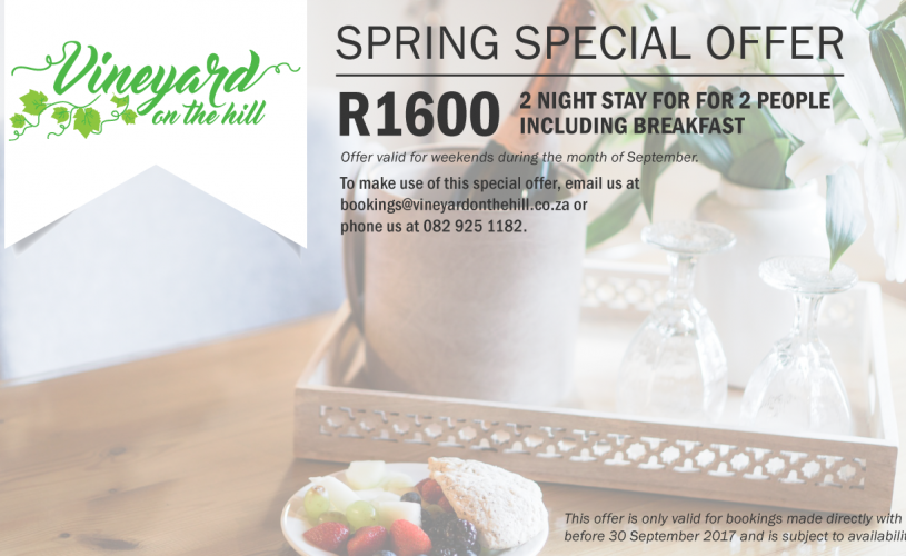 Spring Special Offers