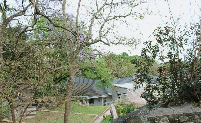 Why Spring is the Perfect Time for A Lowveld Getaway